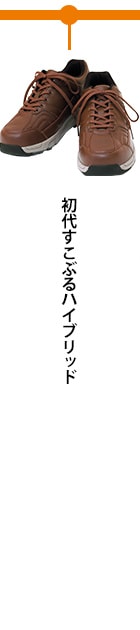 初代すこぶるハイブリッド