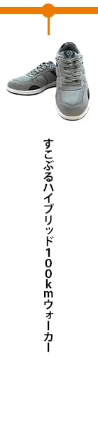 すこぶるハイブリッド100ｋｍウォーカー