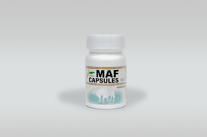 MAF CAPSULES